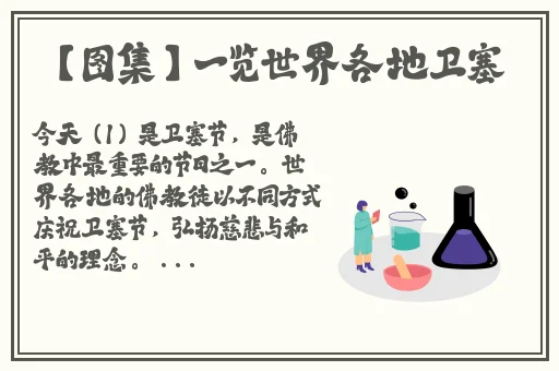 番茄视频观看免费版